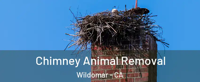  Chimney Animal Removal Wildomar - CA
