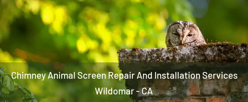  Chimney Animal Screen Repair And Installation Services Wildomar - CA