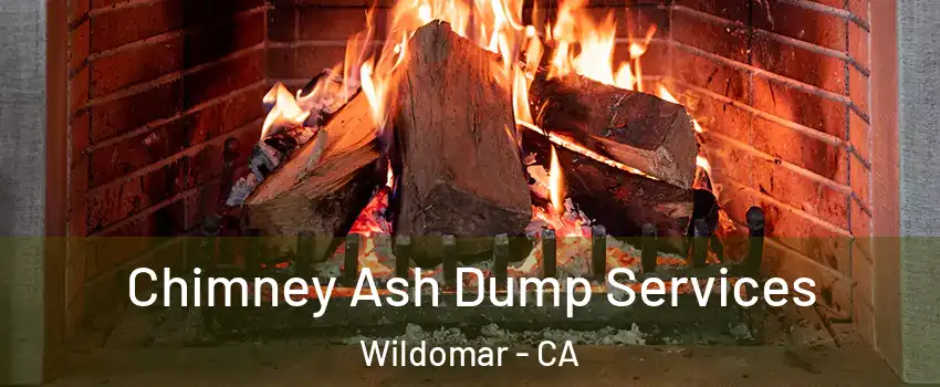  Chimney Ash Dump Services Wildomar - CA