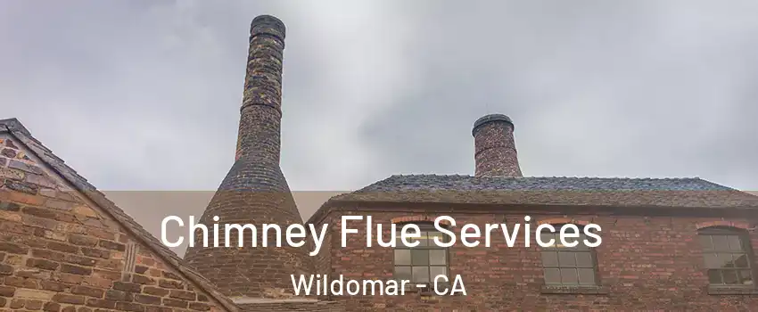  Chimney Flue Services Wildomar - CA