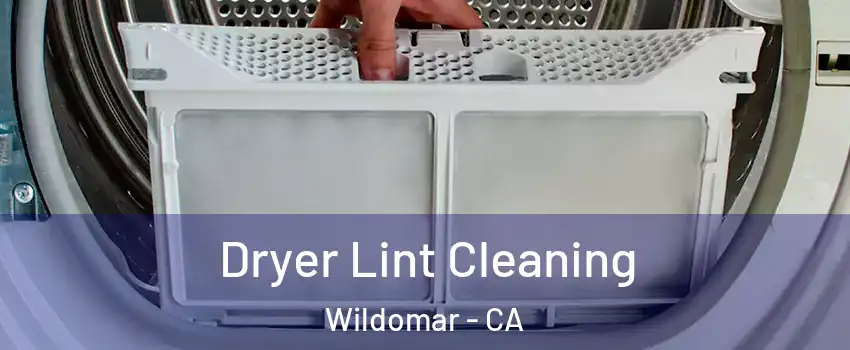  Dryer Lint Cleaning Wildomar - CA
