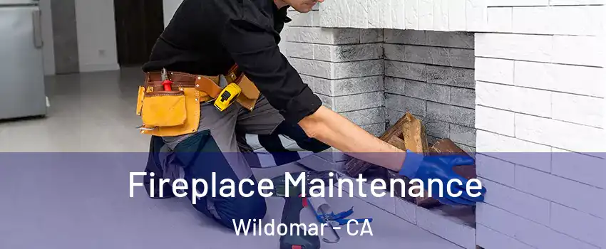  Fireplace Maintenance Wildomar - CA