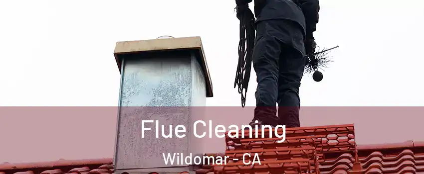  Flue Cleaning Wildomar - CA