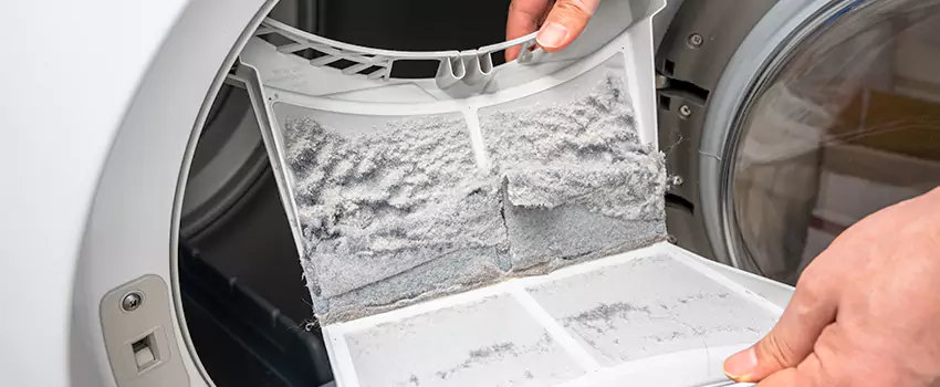 Best Dryer Lint Removal Company in Wildomar, California