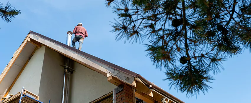 Birds Removal Contractors from Chimney in Wildomar, CA