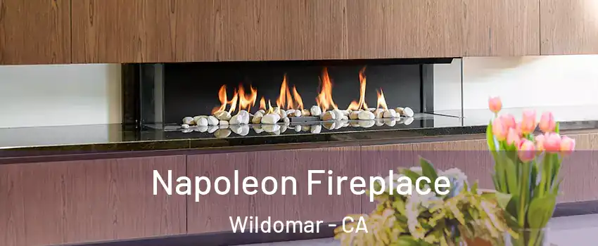  Napoleon Fireplace Wildomar - CA